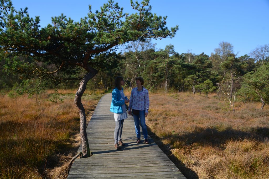 Gesprek in de natuur